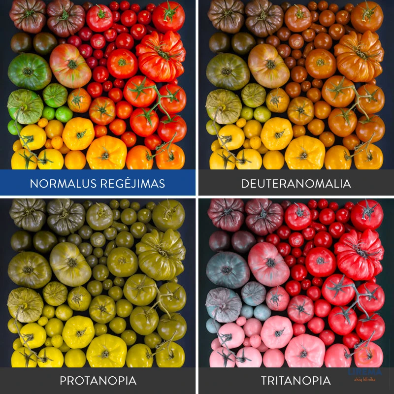 daltonizmas-3