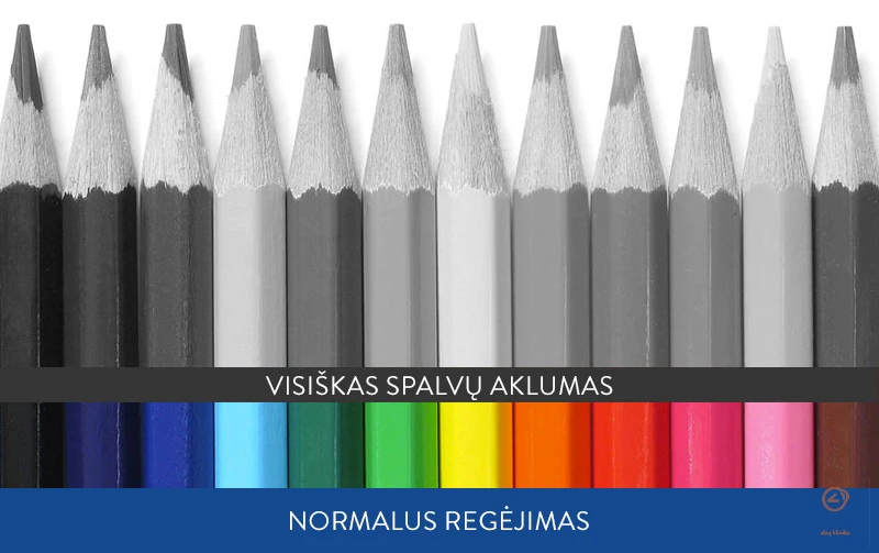 daltonizmas-testas-visiskas