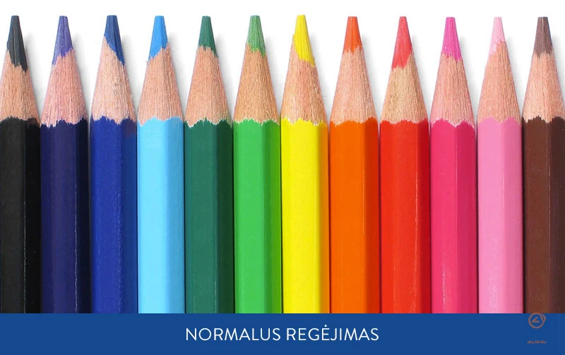 daltonizmo-testas-normalus