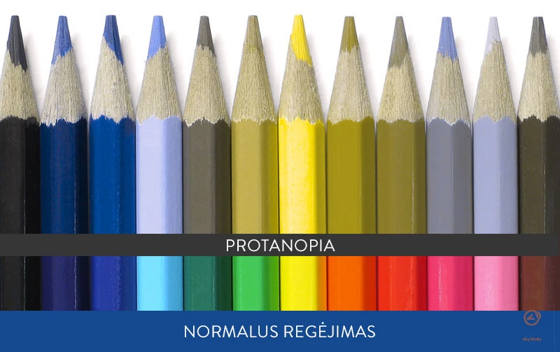 daltonizmo-testas-protanopia